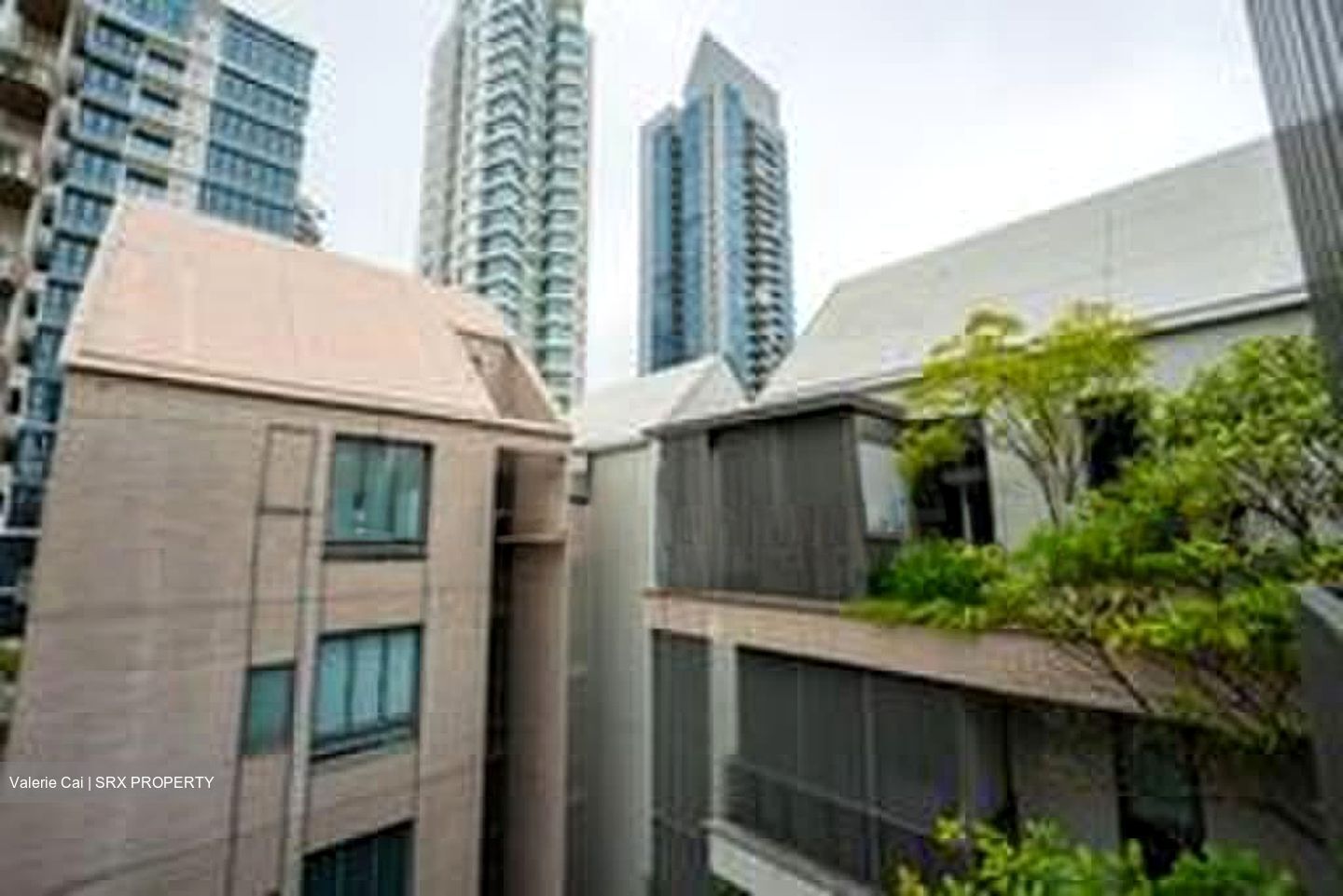 10 Evelyn (D11), Apartment #605401291